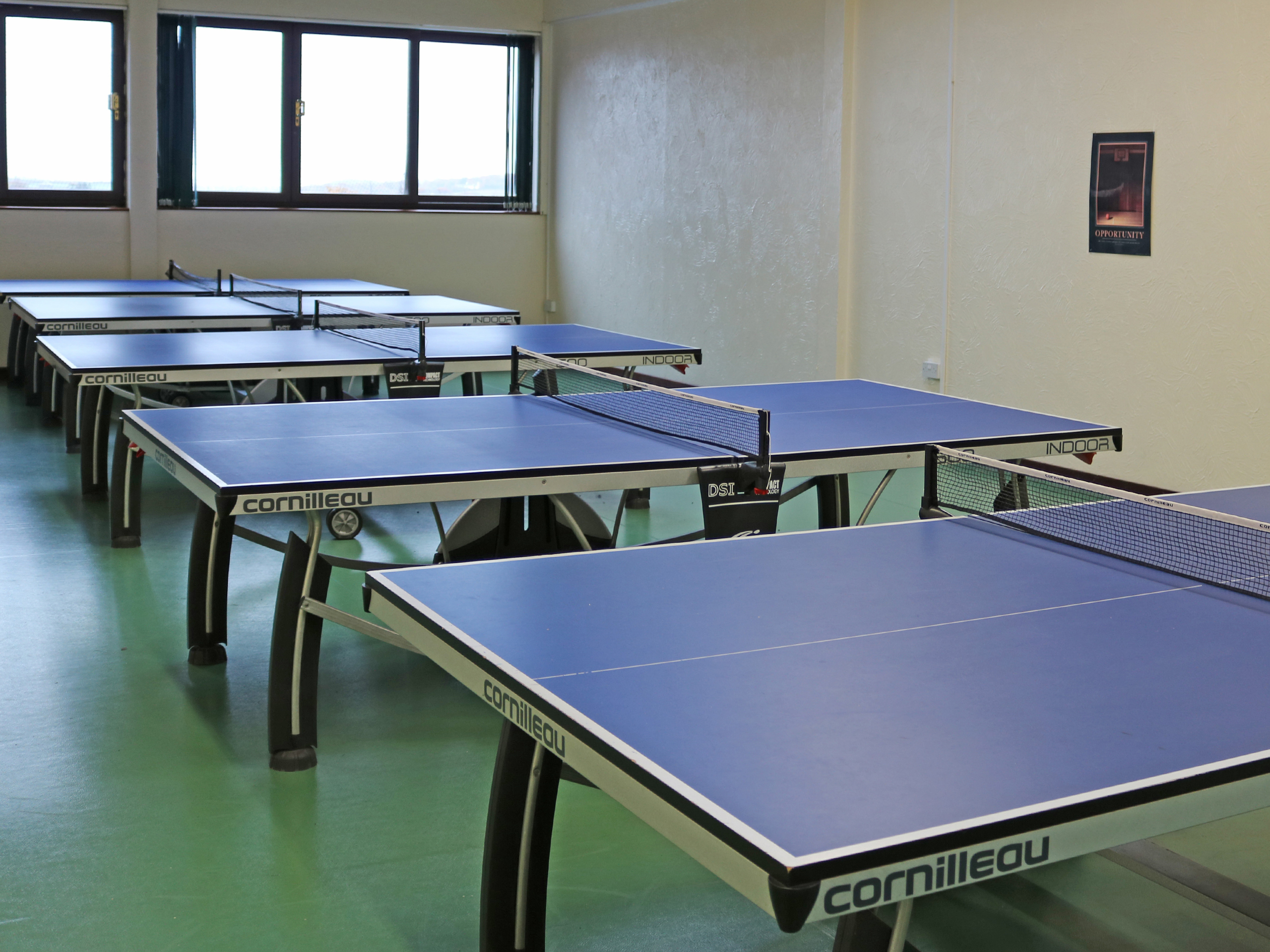 Ashbury Table Tennis