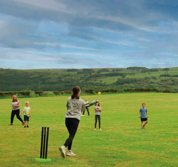 Cricket