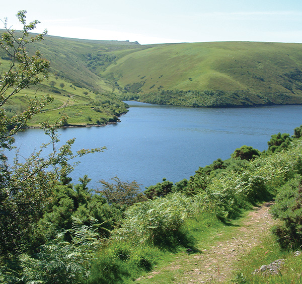 Meldon