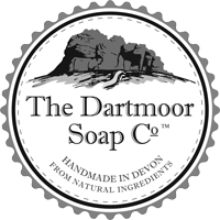dsc-logo200
